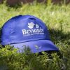 Blue Hat